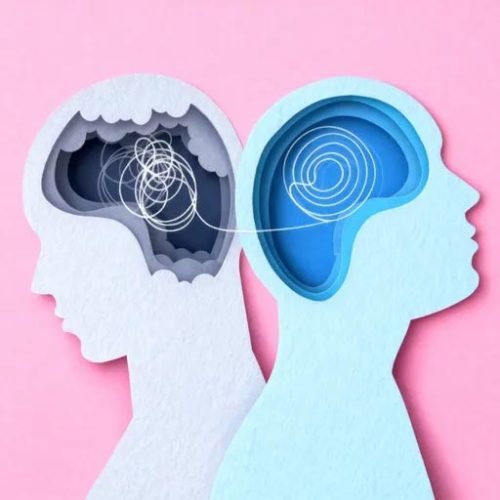 two brains